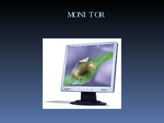 MONITOR 