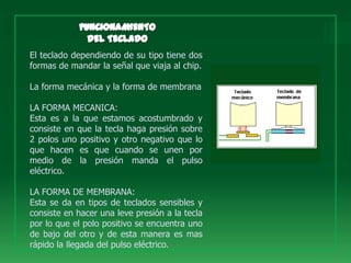 El teclado dependiendo de su tipo tiene dos
formas de mandar la señal que viaja al chip.

La forma mecánica y la forma de membrana

LA FORMA MECANICA:
Esta es a la que estamos acostumbrado y
consiste en que la tecla haga presión sobre
2 polos uno positivo y otro negativo que lo
que hacen es que cuando se unen por
medio de la presión manda el pulso
eléctrico.

LA FORMA DE MEMBRANA:
Esta se da en tipos de teclados sensibles y
consiste en hacer una leve presión a la tecla
por lo que el polo positivo se encuentra uno
de bajo del otro y de esta manera es mas
rápido la llegada del pulso eléctrico.
 