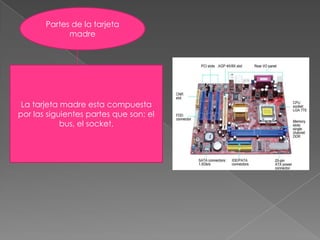 Partes de la tarjeta madreLa tarjeta madre esta compuesta por las siguientes partes que son: el bus, el socket, 