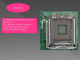 El socketLa tarjeta principal viene con un zócalo de CPU del tipo ZIF (zero insertión force) que permite insertarla CPU sin presión alguna.  
