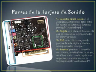 • 1.- Conector para la ranura: es el
encargado de transmitir datos entre
los puertos de la tarjeta y la tarjeta
principal ("Motherboard").
• 2.- Tarjeta: es la placa plástica sobre la
cuál se encuentran montados todos
los chips y circuitos.
• 3.- DSP: es un chip encargado de
procesar la señal digital y liberar al
microprocesador principal.
• 4.- Puertos: permiten la conexión
con bocinas, sintetizadores musicales,
micrófonos, etc., con la tarjeta y su
respectiva comunicación con la
tarjeta principal ("Motherboard").

 