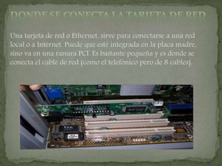 Una tarjeta de red o Ethernet, sirve para conectarse a una red
local o a Internet. Puede que esté integrada en la placa madre,
sino va en una ranura PCI. Es bastante pequeña y es donde se
conecta el cable de red (como el telefónico pero de 8 cables).
 