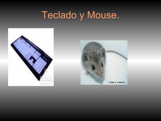Teclado y Mouse. 
