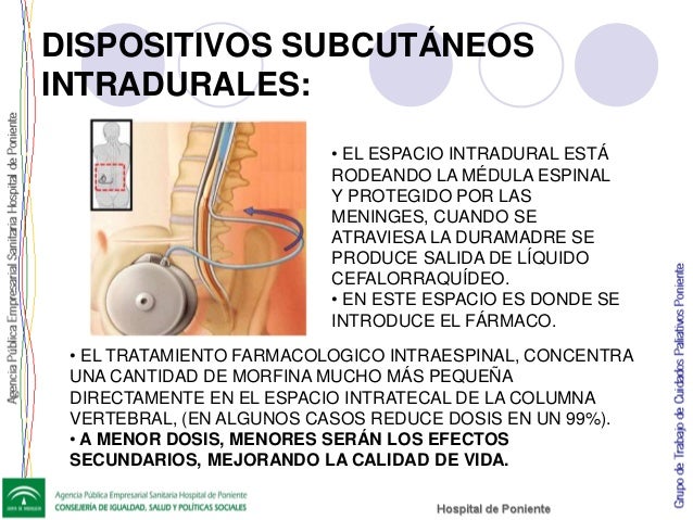 Las causas de los cambios degenerados del departamento de pecho de la columna vertebral