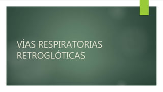 VÍAS RESPIRATORIAS
RETROGLÓTICAS
 