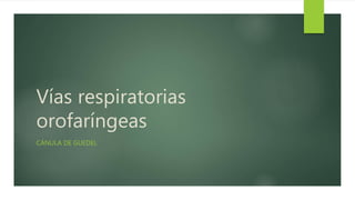 Vías respiratorias
orofaríngeas
CÁNULA DE GUEDEL
 