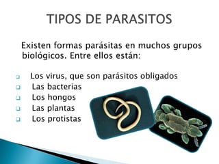 Existen formas parásitas en muchos grupos
biológicos. Entre ellos están:
Los virus, que son parásitos obligados
Las bacterias
Los hongos
Las plantas
Los protistas