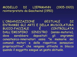 MODELLO DI LIEPRMANN (1905-1920)
reinterpretato da Geschwind (1950)
L'ORGANIZZAZIONE GESTUALE DI
ENTRAMBI GLI ARTI E DELLA MUSCOLATURA
BUCCO-FACCIALE È CONTROLLATA
DALL'EMISFERO SINISTRO (senso-motorio),
dove sarebbero depositati gli engrammi
cenestesico-innervatori ossia "le memorie dei
comandi motori e delle rispettive sensazioni
propriocettive" che vengono attivate in blocco
quando il soggetto esegue un gesto abituale.
 