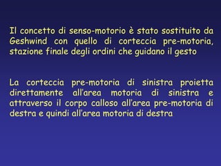 Il concetto di senso-motorio è stato sostituito da
Geshwind con quello di corteccia pre-motoria,
stazione finale degli ordini che guidano il gesto
La corteccia pre-motoria di sinistra proietta
direttamente all’area motoria di sinistra e
attraverso il corpo calloso all’area pre-motoria di
destra e quindi all’area motoria di destra
 