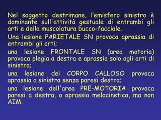 Nel soggetto destrimane, l’emisfero sinistro è
dominante sull'attività gestuale di entrambi gli
arti e della muscolatura bucco-facciale.
Una lesione PARIETALE SN provoca aprassia di
entrambi gli arti;
una lesione FRONTALE SN (area motoria)
provoca plegia a destra e aprassia solo agli arti di
sinistra;
una lesione dei CORPO CALLOSO provoca
aprassia a sinistra senza paresi destra;
una lesione dell'area PRE-MOTORIA provoca
paresi a destra, o aprassia melocinetica, ma non
AIM.
 