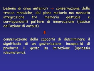 Lesione di aree anteriori conservazione delle
tracce mnesiche, del piano motorio ma mancata
integrazione tra memoria gestuale e
corrispondenti pattern di innervazione (lessico
dell’azione di output)
conservazione della capacità di discriminare il
significato di un gesto/azione, incapacità di
produrre il gesto su imitazione (aprassia
ideomotoria).
 