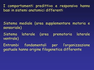 I comportamenti predittivo e responsivo hanno
basi in sistemi anatomici differenti
Sistema mediale (area supplementare motoria e
sensoriale)
Sistema laterale (area premotoria laterale
ventrale)
Entrambi fondamentali per l’organizzazione
gestuale hanno origine filogenetica differente
 