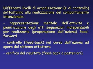 Differenti livelli di organizzazione (e di controllo)
sottostanno alla realizzazione del comportamento
intenzionale:
- rappresentazione mentale dell'attività e
pianificazione degli atti sequenziali indispensabili
per realizzarla (preparazione dell'azione) feed-
forward
- controllo (feed-back) nel corso dell'azione ad
opera del sistema effettore
- verifica del risultato (feed-back a posteriori).
 