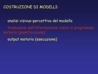 COSTRUZIONE DI MODELLI:
 analisi visivuo-percettiva del modello
 traduzione dell’informazione visiva in programma
motorio (pianificazione)
 output motorio (esecuzione)
 