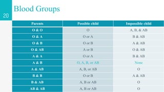 20
Blood Groups
Parents Possible child Impossible child
O & O O A, B, & AB
O & A O or A B & AB
O & B O or B A & AB
O & AB ...