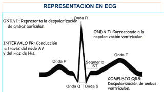 ONDA P: Representa la despolarización
de ambas aurículas.
INTERVALO PR: Conducción
a través del nodo AV
y del Haz de His.
COMPLEJO QRS:
Despolarización de ambos
ventrículos.
ONDA T: Corresponde a la
repolarización ventricular.
REPRESENTACION EN ECG
 