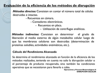 Evaluación de la eficiencia de los métodos de disrupción
Métodos directos: Consisten en contar el número total de células
destruidas e intactas.
- Recuentos en cámara.
- Contadores electrónicos.
- Recuentos en placa.
- Utilización de centrífugas analíticas.
Métodos indirectos: Consisten en determinar el grado de
liberación al medio externo de algún metabolito celular luego de
que las membranas celulares son destruidas (determinación de
proteínas solubles, actividades enzimáticas, etc.).
Se determina el rendimiento alcanzado en función de la eficiencia de los
métodos realizados, teniendo en cuenta no solo la disrupción celular o
el porcentaje de producto recuperado, sino también las condiciones
operativas que se necesitaron para llevarlo a cabo.
Cálculo del Rendimiento Alcanzado
Operaciones y Procesos Biotecnológicos II
DISRUPCIÓN CELULAR
 