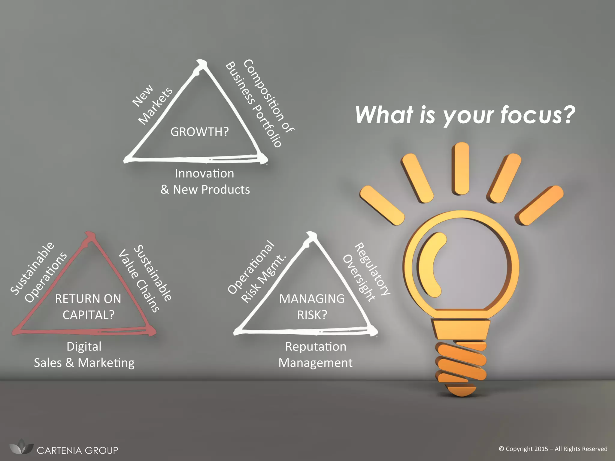 ©	
  Copyright	
  2015	
  –	
  All	
  Rights	
  Reserved	
  
GROWTH?	
  
RETURN	
  ON	
  
CAPITAL?	
  
MANAGING	
  
RISK?	
  
CARTENIA GROUP
InnovaIon	
  	
  
&	
  New	
  Products	
  
ReputaIon	
  
Management	
  
Digital	
  
Sales	
  &	
  MarkeIng	
  
What is your focus?
 