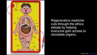Regenerative medicine
cuts through the ethics
debate by helping
everyone gain access to
cloneable organs.
Image Credit: Jason Freeny
 