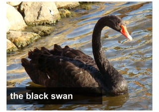 the black swan
 