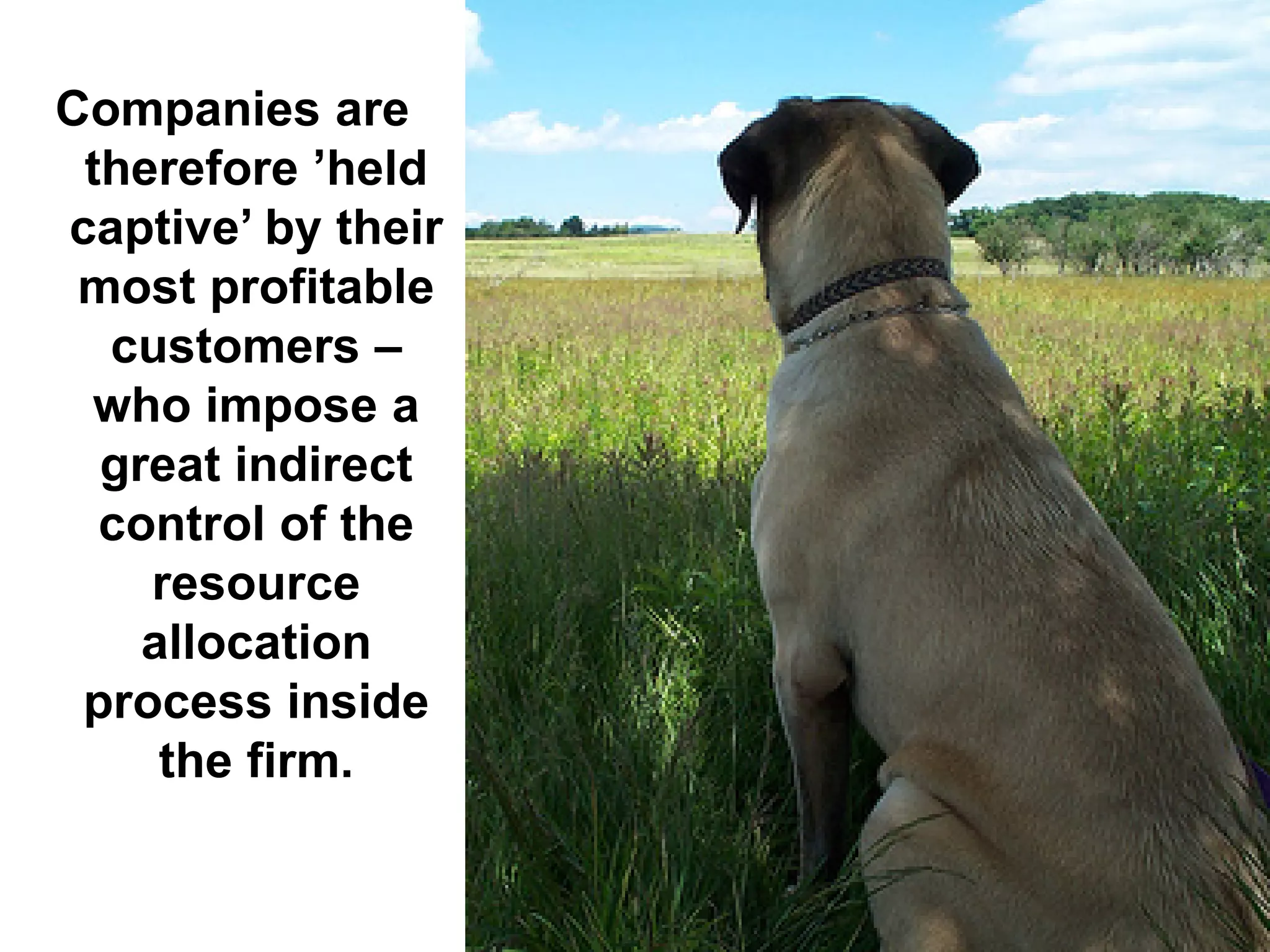 Companies are
 therefore ’held
captive’ by their
 most profitable
  customers –
  who impose a
  great indirect
  control of the
    resource
    allocation
 process inside
     the firm.
 