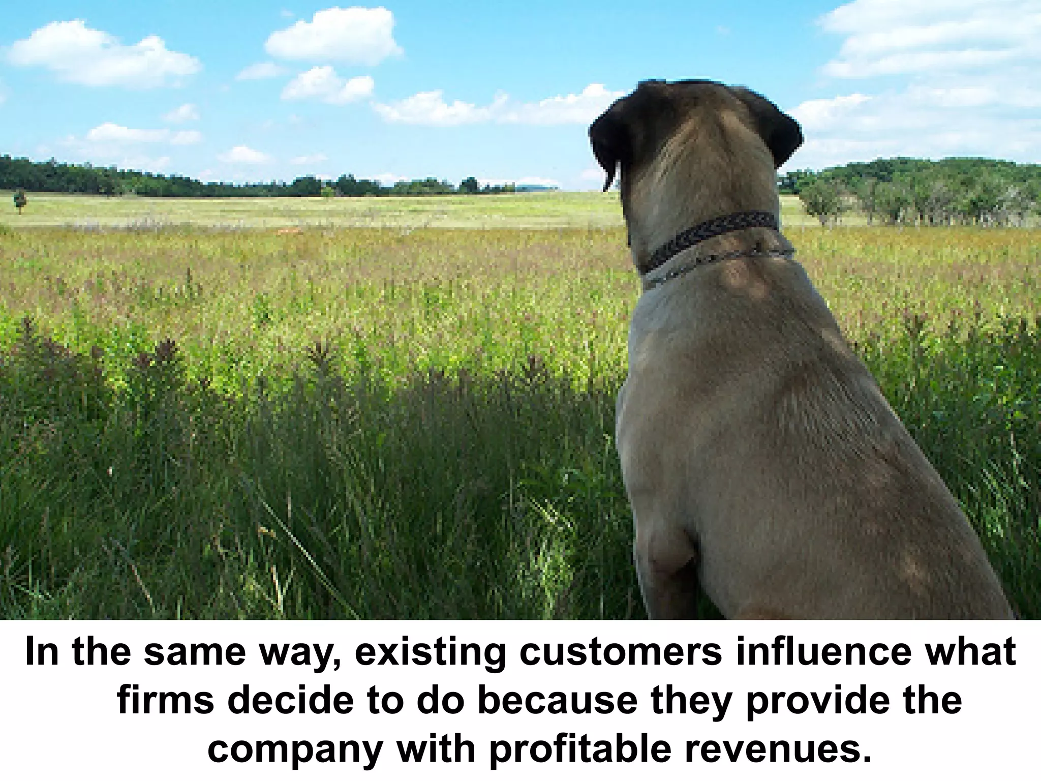 In the same way, existing customers influence what
     firms decide to do because they provide the
          company with profitable revenues.
 