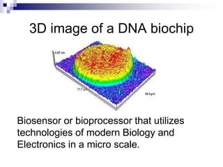 3D image of a DNA biochip
Biosensor or bioprocessor that utilizes
technologies of modern Biology and
Electronics in a micro scale.
 