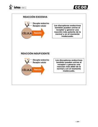 - 14 -
Los disruptores endocrinos
también pueden unirse al
receptor y generar una
reacción más potente de la
normal y en el momento
inadecuado.
Los disruptores endocrinos
también pueden unirse al
receptor y generar una
reacción más débil de la
normal y en el momento
inadecuado.
 