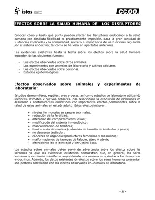 - 15 -
EFECTOS SOBRE LA SALUD HUMANA DE LOS DISRUPTORES
ENDOCRINOS
Conocer cómo y hasta qué punto pueden afectar los disruptores endocrinos a la salud
humana con absoluta fiabilidad es prácticamente imposible, dada la gran cantidad de
sustancias implicadas y la complejidad, número e importancia de las funciones reguladas
por el sistema endocrino, tal como se ha visto en apartados anteriores.
Las evidencias existentes hasta la fecha sobre los efectos sobre la salud humana
proceden de las siguientes fuentes:
- Los efectos observados sobre otros animales.
- Los experimentos con animales de laboratorio y cultivos celulares.
- Los efectos observados sobre personas.
- Estudios epidemiológicos.
Efectos observados sobre animales y experimentos de
laboratorio:
Estudios de mamíferos, reptiles, aves y peces, así como estudios de laboratorio utilizando
roedores, primates y cultivos celulares, han relacionado la exposición de embriones en
desarrollo a contaminantes endocrinos con importantes efectos permanentes sobre la
salud de estos animales en estado adulto. Estos efectos incluyen:
 niveles hormonales en sangre anormales;
 reducción de la fertilidad;
 alteración del comportamiento sexual;
 modificación del sistema inmunológico;
 masculinización de hembras;
 feminización de machos (reducción de tamaño de testículos y pene);
 no descenso testicular;
 cánceres en órganos reproductores femeninos y masculinos;
 malformaciones de trompas de Falopio, útero y cérvix;
 alteraciones de la densidad y estructura ósea.
Los estudios sobre animales deben servir de advertencia sobre los efectos sobre las
personas ya que las evidencias existentes demuestran que, en general, los seres
humanos y los demás mamíferos responden de una manera muy similar a los disruptores
endocrinos. Además, los datos existentes de efectos sobre los seres humanos presentan
una perfecta correlación con los efectos observados en animales de laboratorio.
 