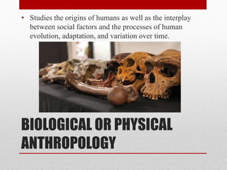 BIOLOGICAL OR PHYSICAL
ANTHROPOLOGY
• Studies the origins of humans as well as the interplay
between social factors and the processes of human
evolution, adaptation, and variation over time.
 