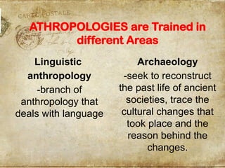 ATHROPOLOGIES are Trained in
different Areas
Linguistic
anthropology
-branch of
anthropology that
deals with language
Archaeology
-seek to reconstruct
the past life of ancient
societies, trace the
cultural changes that
took place and the
reason behind the
changes.
 