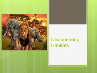 Dissapearing
Habitats
 