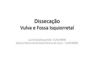 Dissecação
   Vulva e Fossa Isquiorretal

          Luis OctávioHauschild– 11/0129946
Sabrina Maria Corrêa Brant Pereira de Jesus – 11/0139828
 