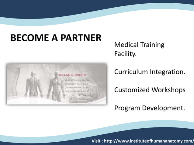 Dissecting a human body | PPTX | Medical Health