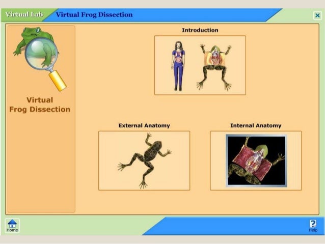 Dissection