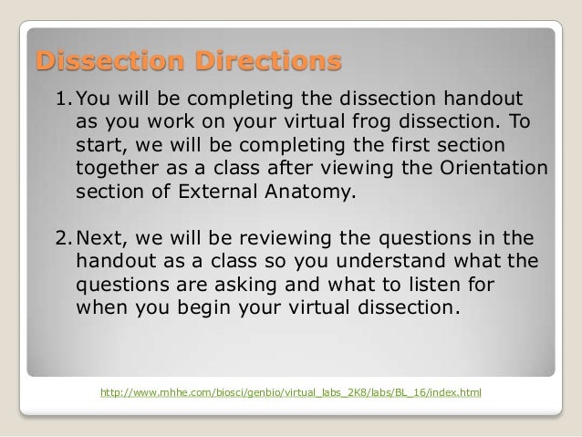 Dissection
