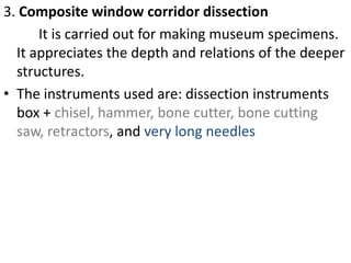 3. Composite window corridor dissection
It is carried out for making museum specimens.
It appreciates the depth and relations of the deeper
structures.
• The instruments used are: dissection instruments
box + chisel, hammer, bone cutter, bone cutting
saw, retractors, and very long needles

 