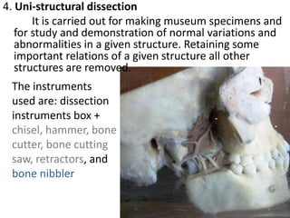 4. Uni-structural dissection
It is carried out for making museum specimens and
for study and demonstration of normal variations and
abnormalities in a given structure. Retaining some
important relations of a given structure all other
structures are removed.

The instruments
used are: dissection
instruments box +
chisel, hammer, bone
cutter, bone cutting
saw, retractors, and
bone nibbler

 