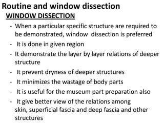 Routine and window dissection
WINDOW DISSECTION
- When a particular specific structure are required to
be demonstrated, window dissection is preferred
- It is done in given region
- It demonstrate the layer by layer relations of deeper
structure
- It prevent dryness of deeper structures
- It minimizes the wastage of body parts
- It is useful for the museum part preparation also
- It give better view of the relations among
skin, superficial fascia and deep fascia and other
structures

 