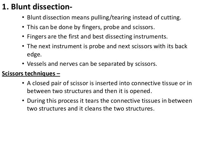Dissection And Instruments