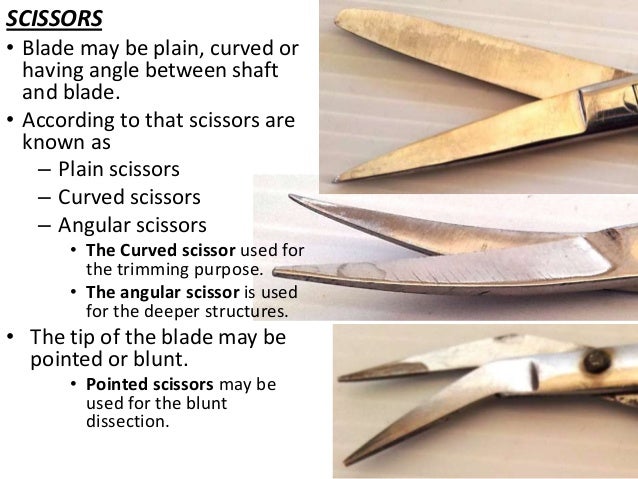 Dissection And Instruments
