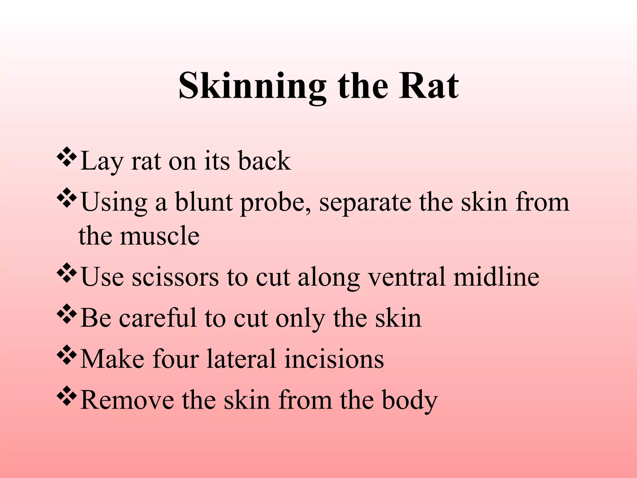 Dissection guide to the rat | PPT