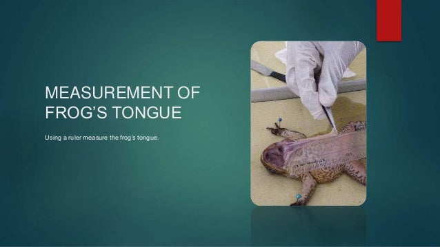virtual frog dissection free download