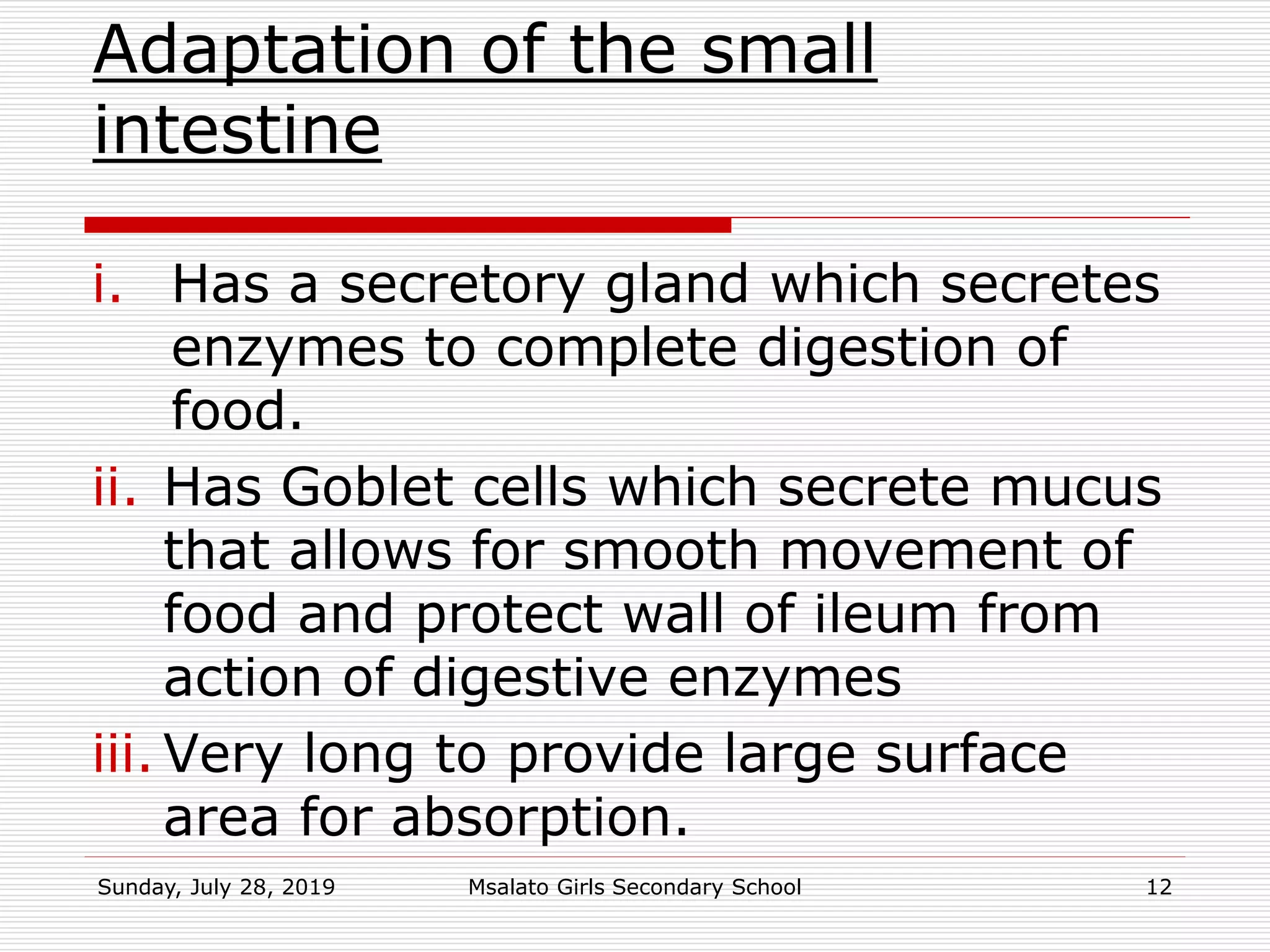 Adaptation of the small
intestine
i. Has a secretory gland which secretes
enzymes to complete digestion of
food.
ii. Has Goblet cells which secrete mucus
that allows for smooth movement of
food and protect wall of ileum from
action of digestive enzymes
iii. Very long to provide large surface
area for absorption.
Sunday, July 28, 2019 Msalato Girls Secondary School 12
 