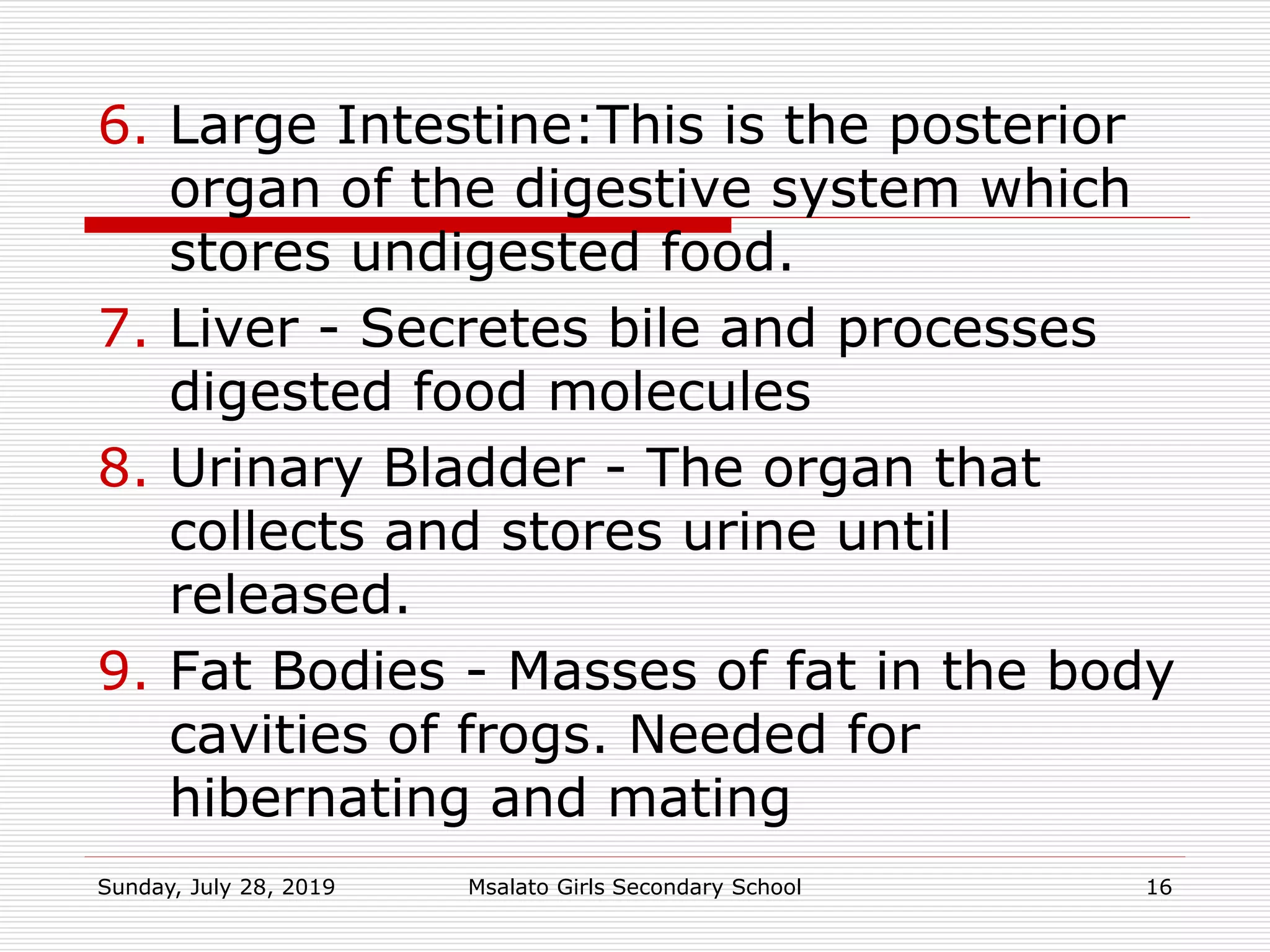 6. Large Intestine:This is the posterior
organ of the digestive system which
stores undigested food.
7. Liver - Secretes bile and processes
digested food molecules
8. Urinary Bladder - The organ that
collects and stores urine until
released.
9. Fat Bodies - Masses of fat in the body
cavities of frogs. Needed for
hibernating and mating
Sunday, July 28, 2019 Msalato Girls Secondary School 16
 