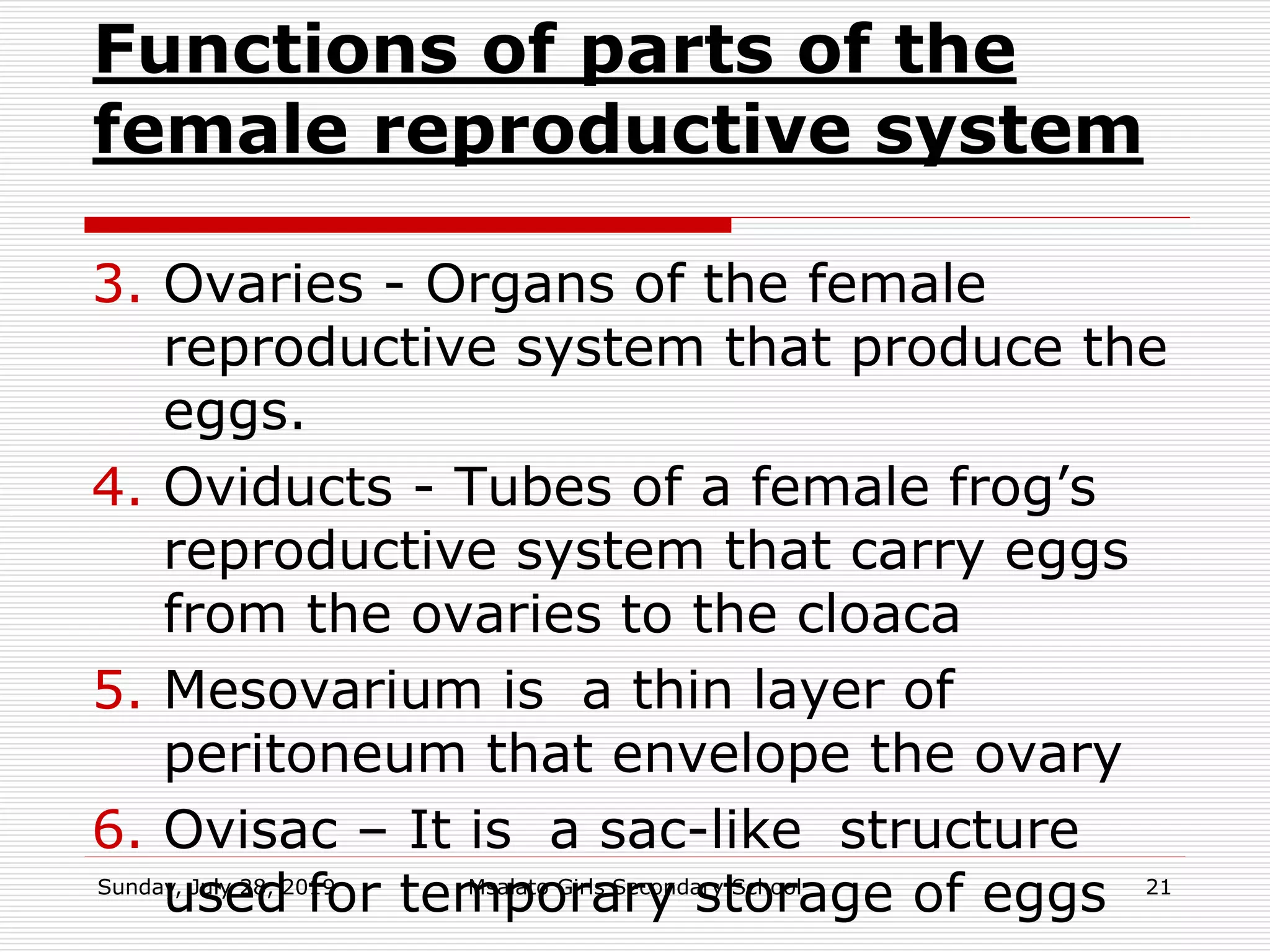 Functions of parts of the
female reproductive system
3. Ovaries - Organs of the female
reproductive system that produce the
eggs.
4. Oviducts - Tubes of a female frog’s
reproductive system that carry eggs
from the ovaries to the cloaca
5. Mesovarium is a thin layer of
peritoneum that envelope the ovary
6. Ovisac – It is a sac-like structure
used for temporary storage of eggsSunday, July 28, 2019 Msalato Girls Secondary School 21
 