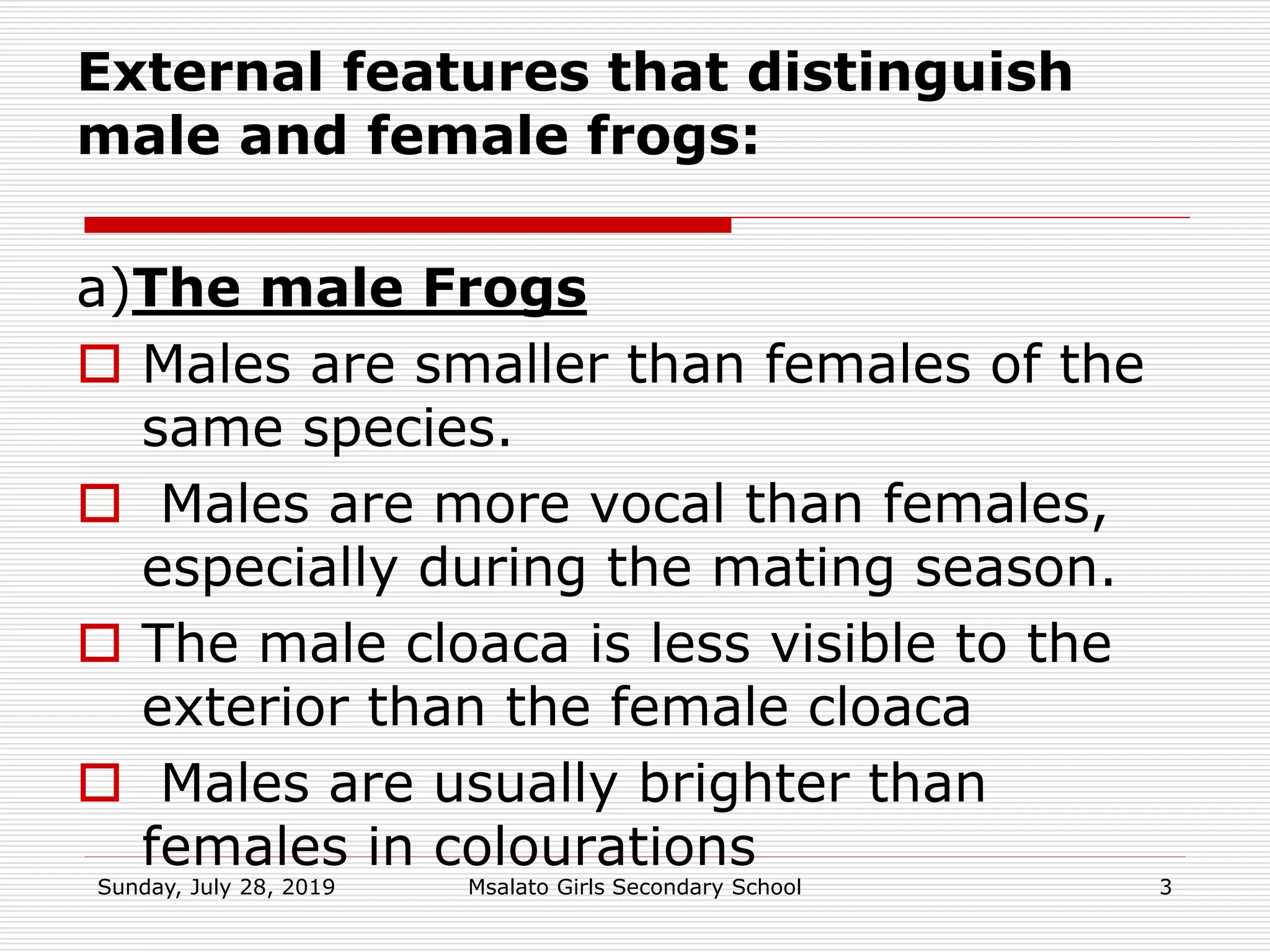 External features that distinguish
male and female frogs:
a)The male Frogs
 Males are smaller than females of the
same species.
 Males are more vocal than females,
especially during the mating season.
 The male cloaca is less visible to the
exterior than the female cloaca
 Males are usually brighter than
females in colourations
Sunday, July 28, 2019 Msalato Girls Secondary School 3
 