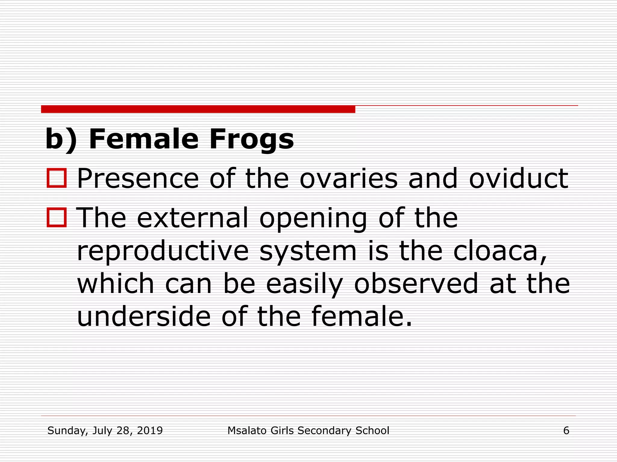 b) Female Frogs
 Presence of the ovaries and oviduct
 The external opening of the
reproductive system is the cloaca,
which can be easily observed at the
underside of the female.
Sunday, July 28, 2019 Msalato Girls Secondary School 6
 