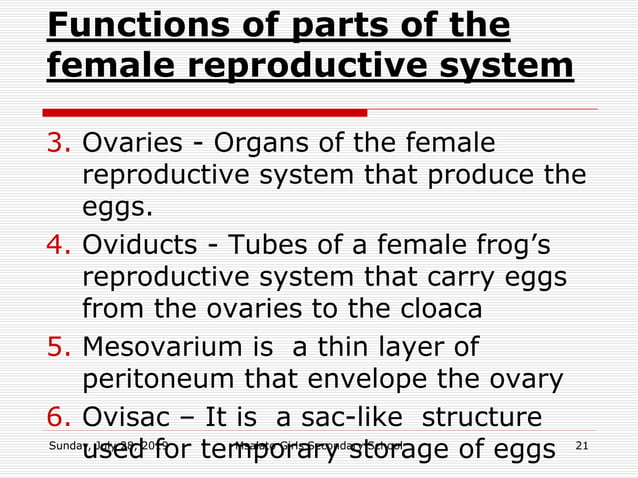 Dissection of frog toad _updated notes | PPTX