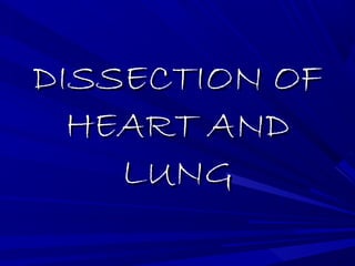 DISSECTION OFDISSECTION OF
HEART ANDHEART AND
LUNGLUNG
 